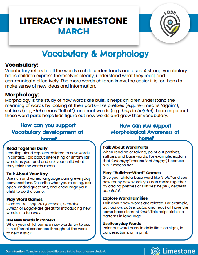 Screenshot 2026 03 01 113856